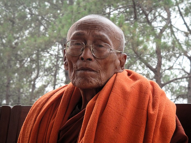 Elderly Monk